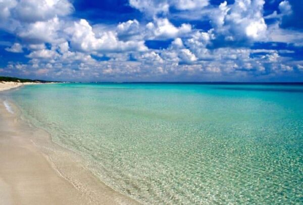 Lido T Beach con Ombrellone e Lettino Panoramica mare