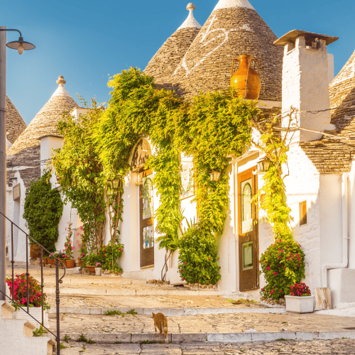 Progetto-senza-titolo-3-1