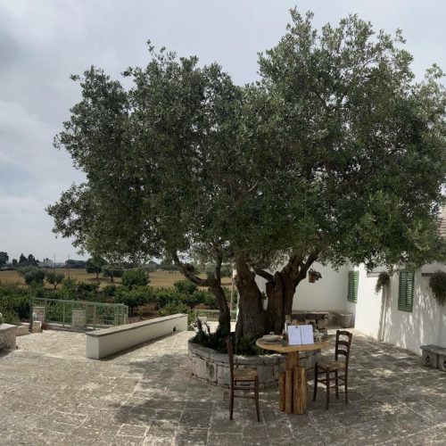 Location Degustazione tra i Trulli