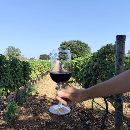 WhatsApp Image 2025-11-20 at 12.40.17