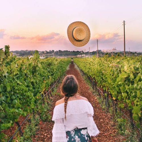 Turista che passeggia tra i vigneti della Valle D'Itria durante la visita in cantina